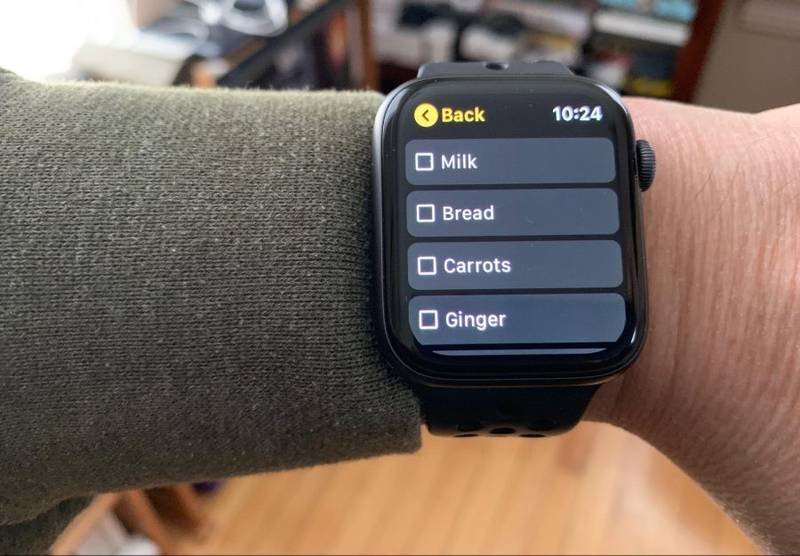 The Apple Watch doesn’t have a note-taking app yet