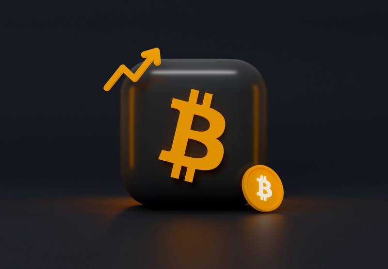 mariia-shalabaieva-bitcoin
