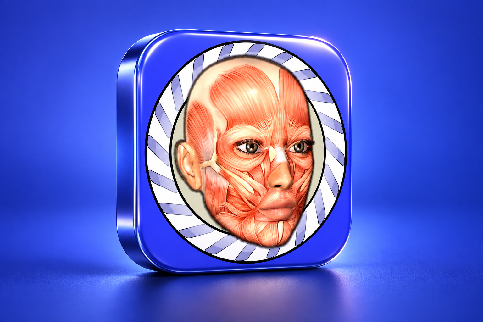 3D illustration of the Speed Anatomy app icon on a colored background.